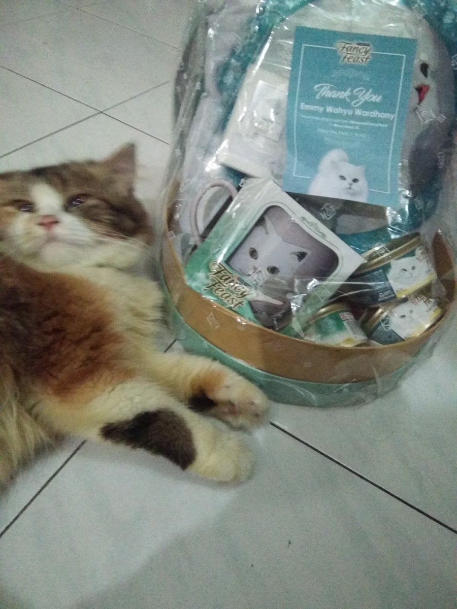 Irvi's Cofee Shop Photo 2
