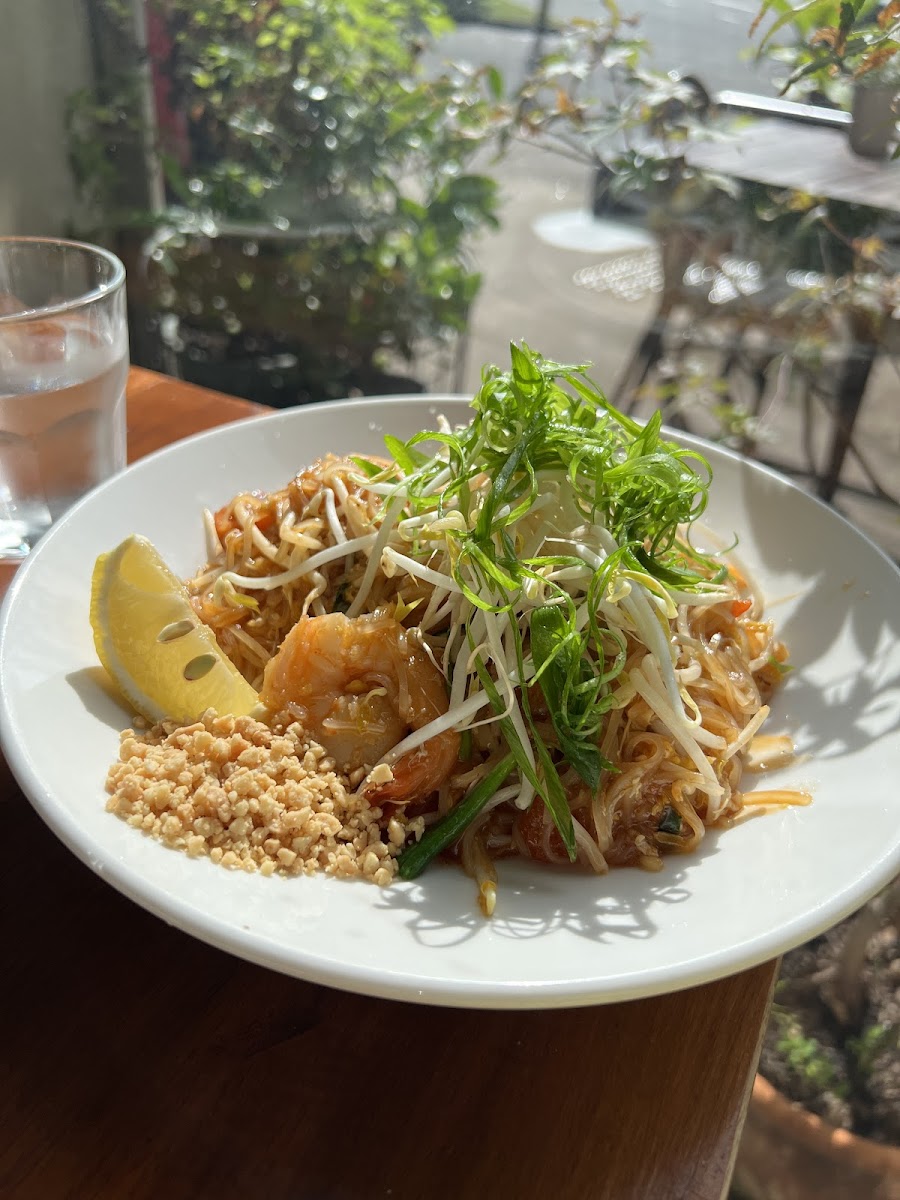 Limelight Cafe & Restaurant Photo 4