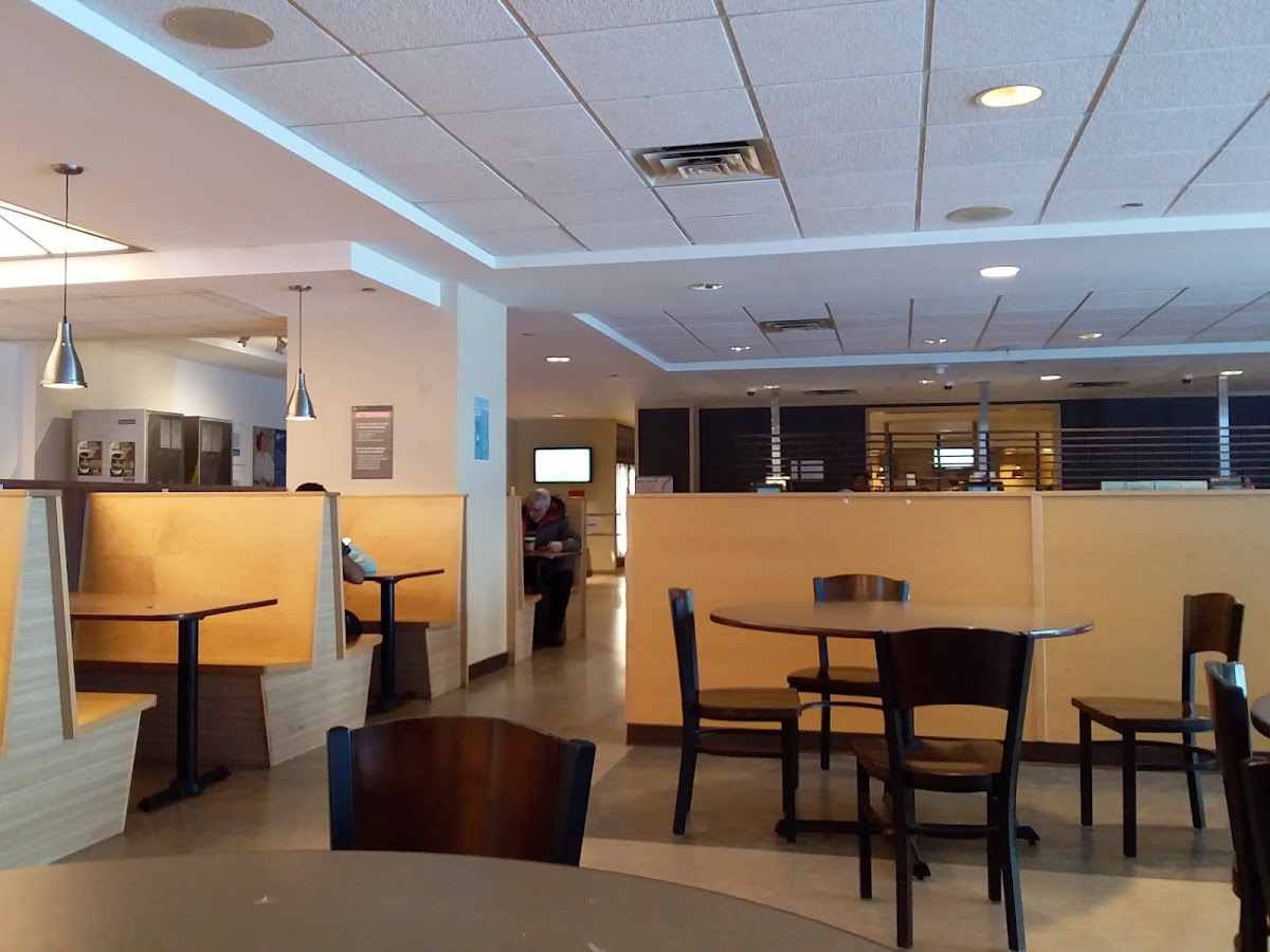 The Tulip Café Photo 9