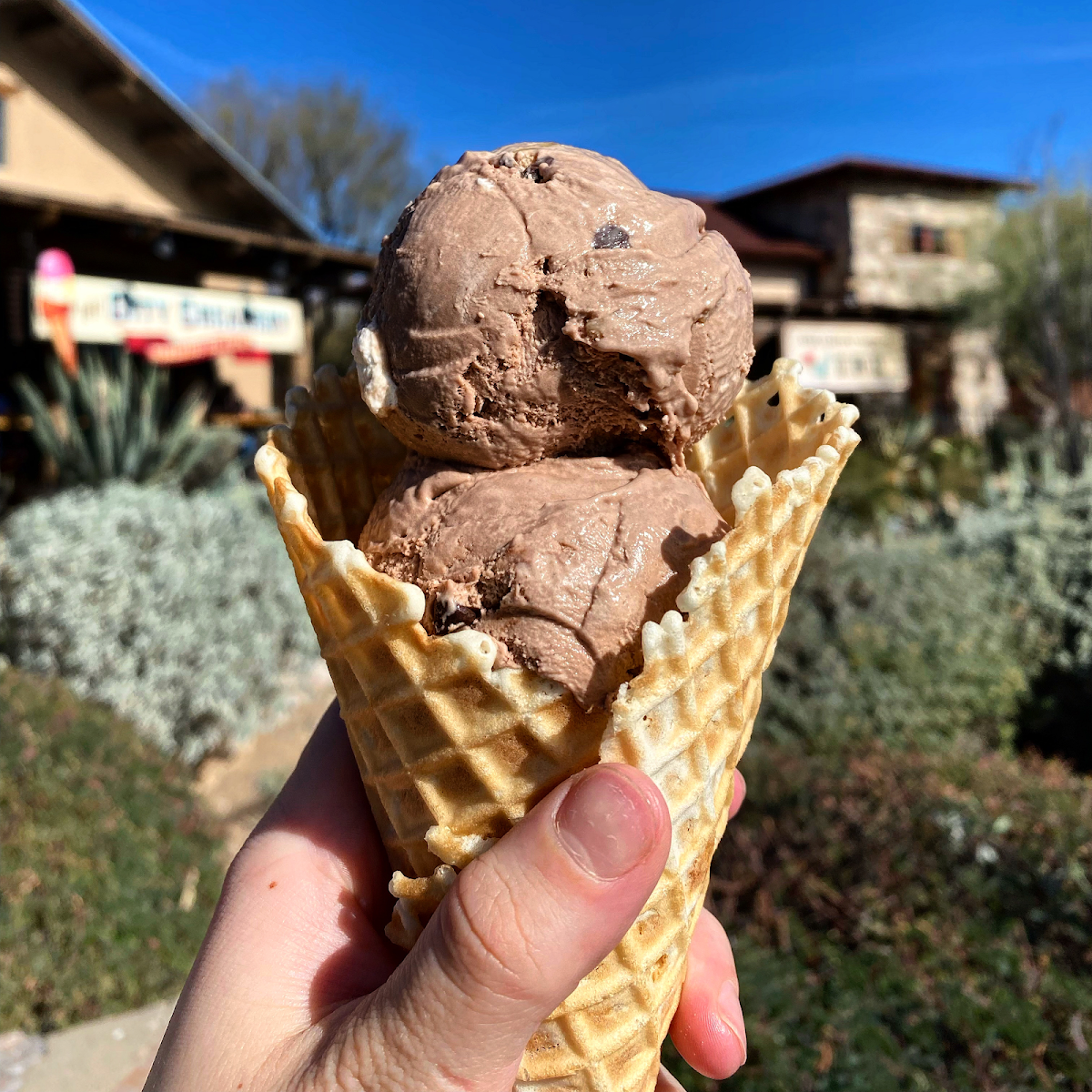 The City Creamery Photo 6