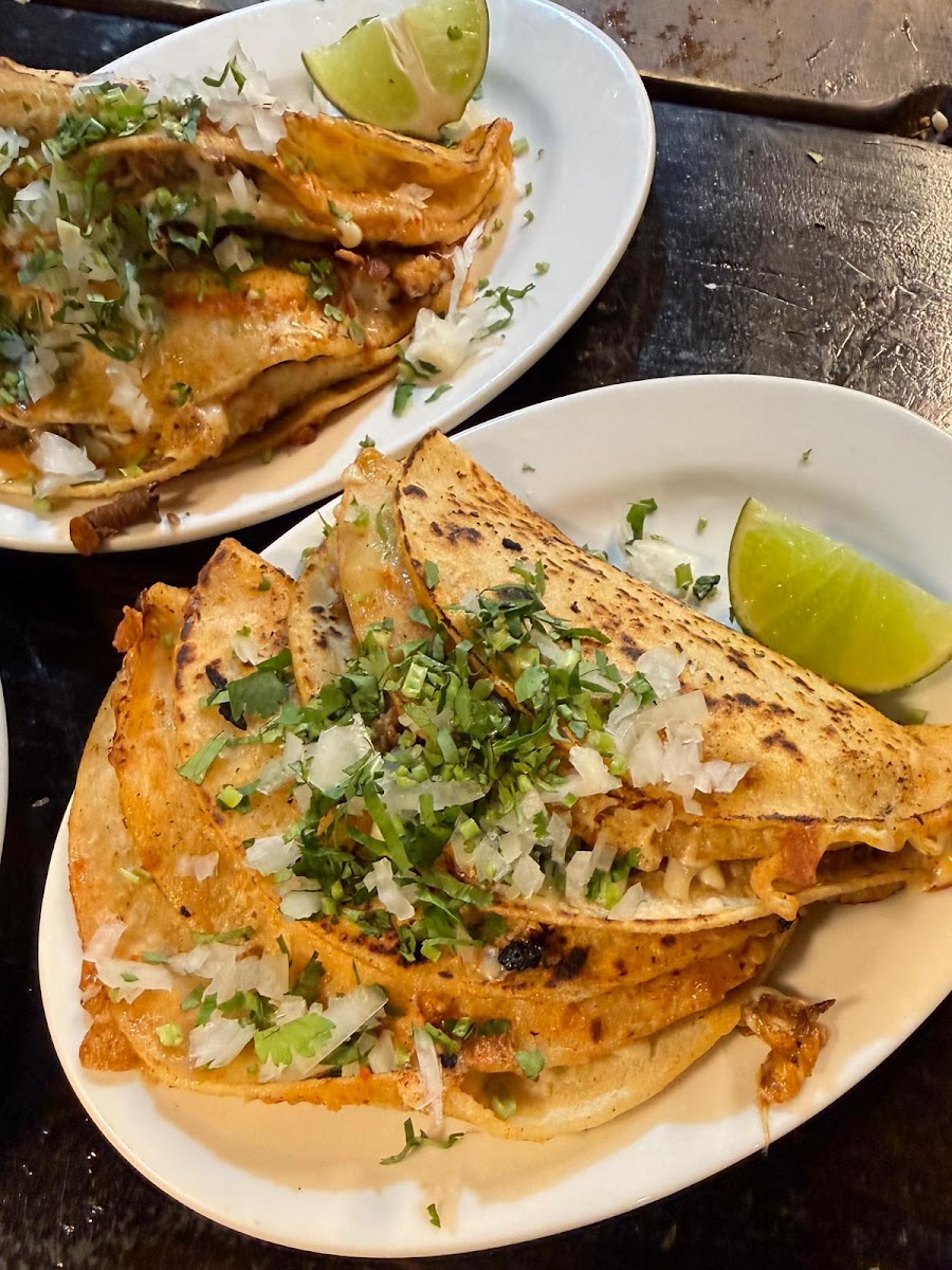 Tacos Los Bandidos Photo 4