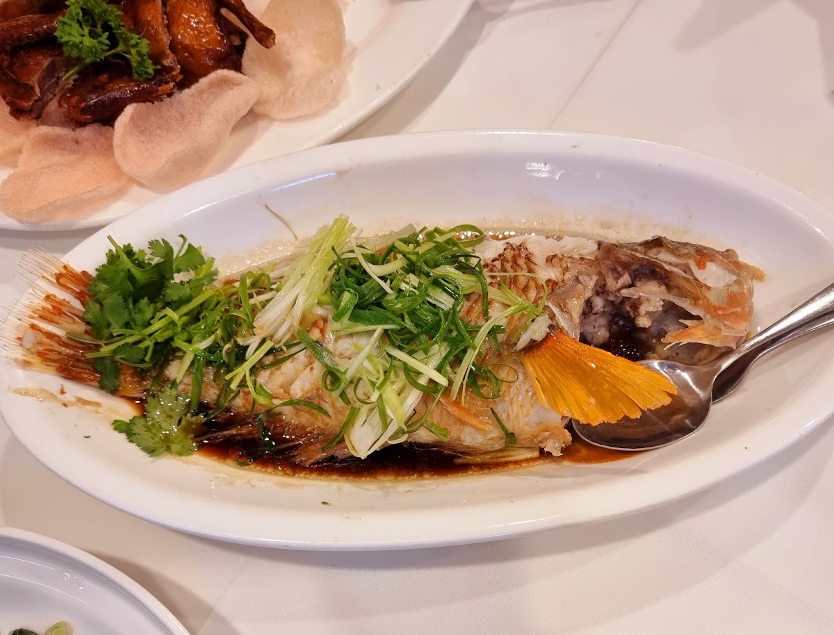 龍焱海鮮 Long Yan Seafood Restaurant Photo 6