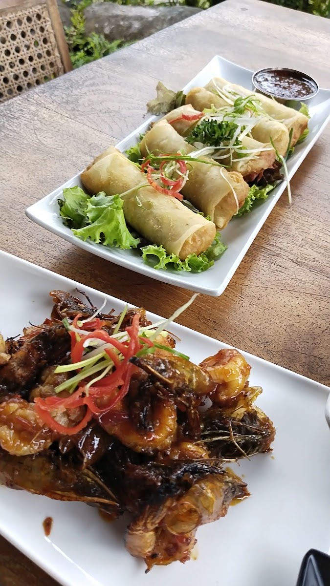 Wedja Restaurant Photo 2