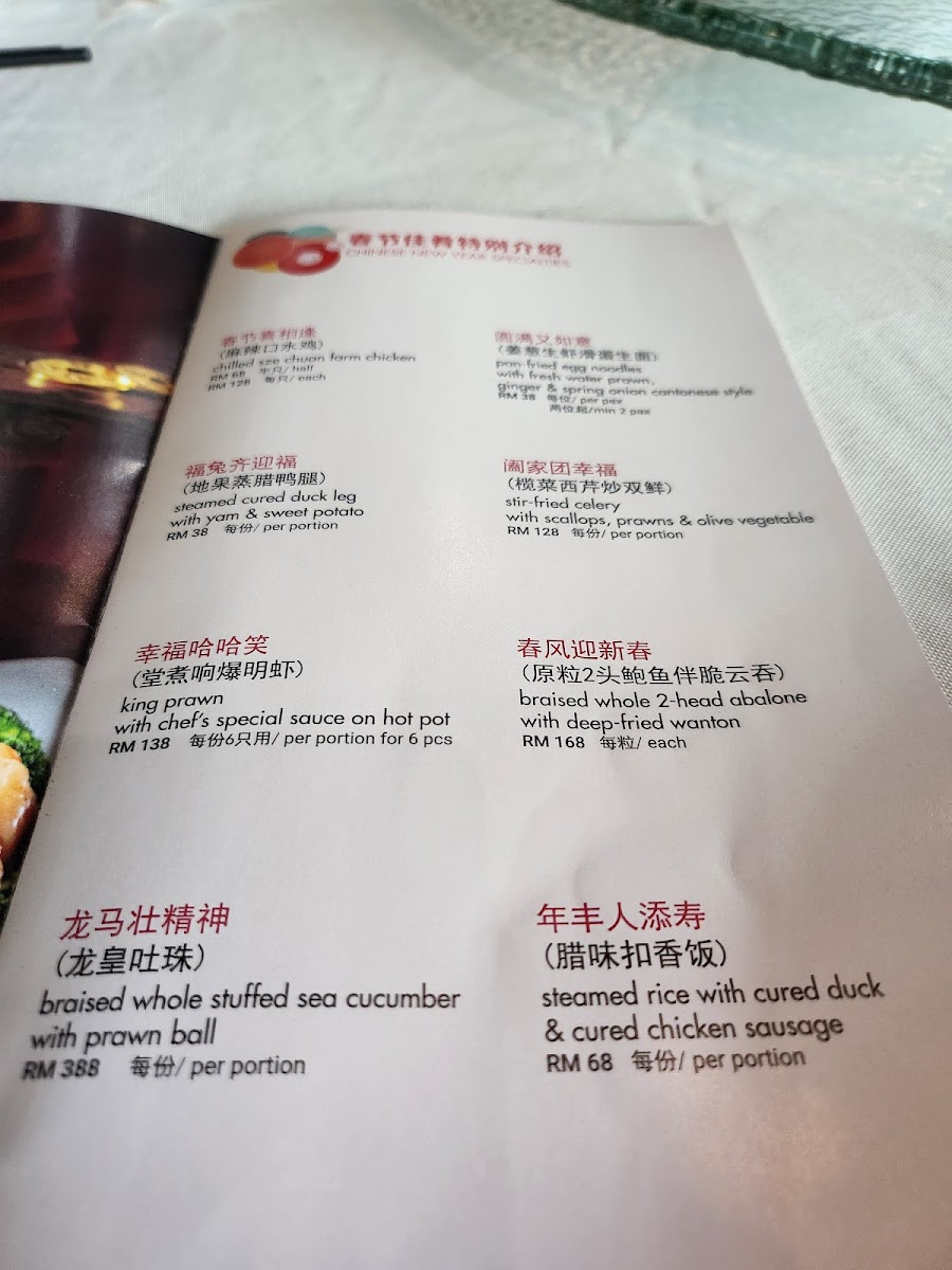 Ruyi & Lyn 如意 Photo Menu 4