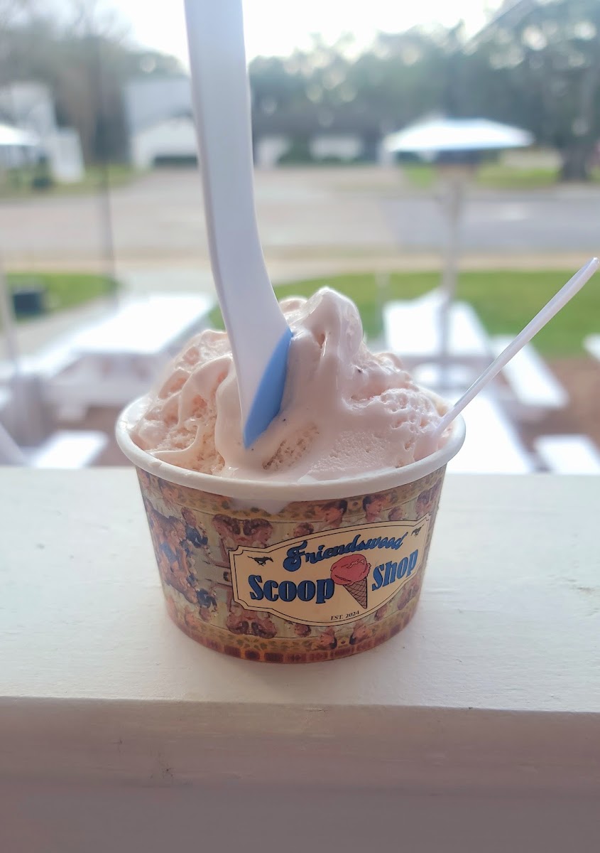Friendswood Scoop Shop Photo 10