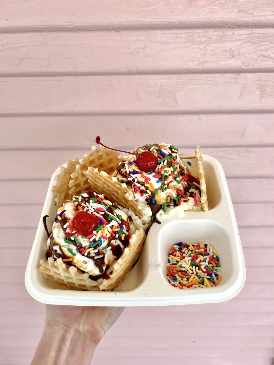 Friendswood Scoop Shop Photo 3