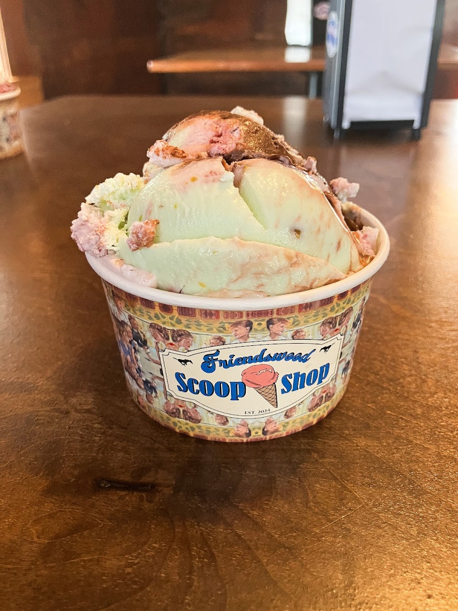 Friendswood Scoop Shop Photo 4
