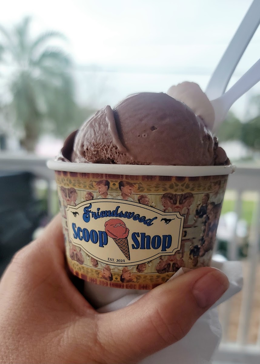 Friendswood Scoop Shop Photo 5