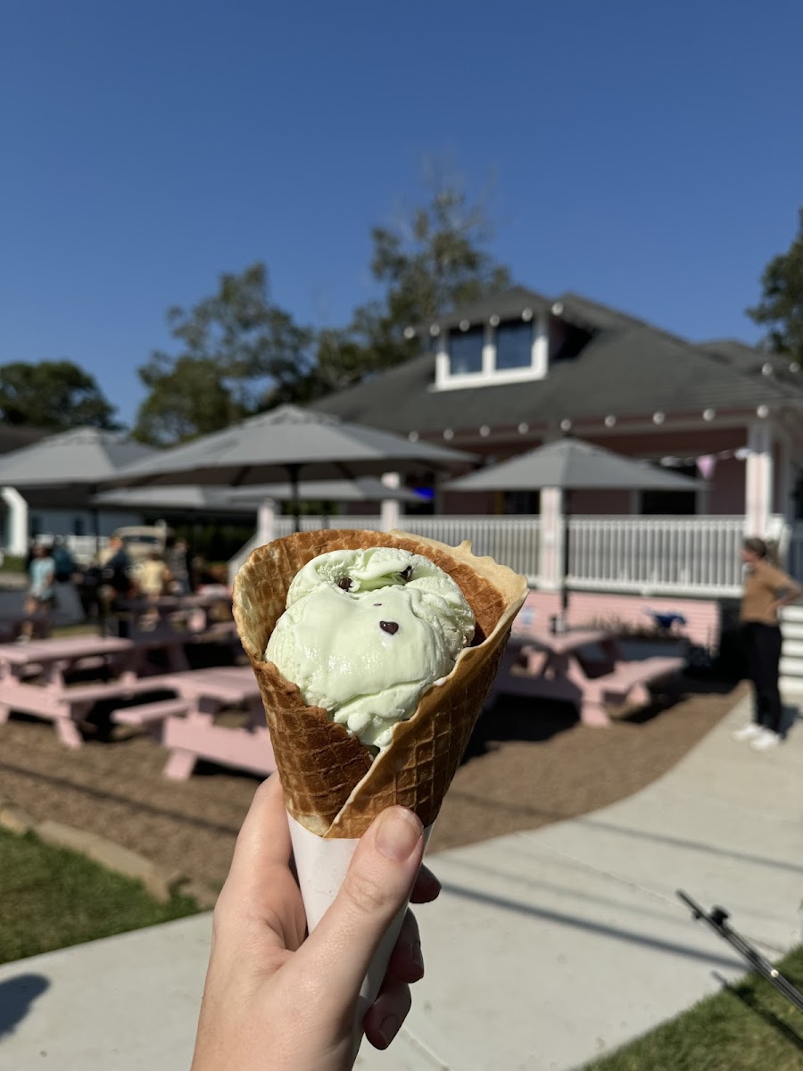 Friendswood Scoop Shop Photo 8