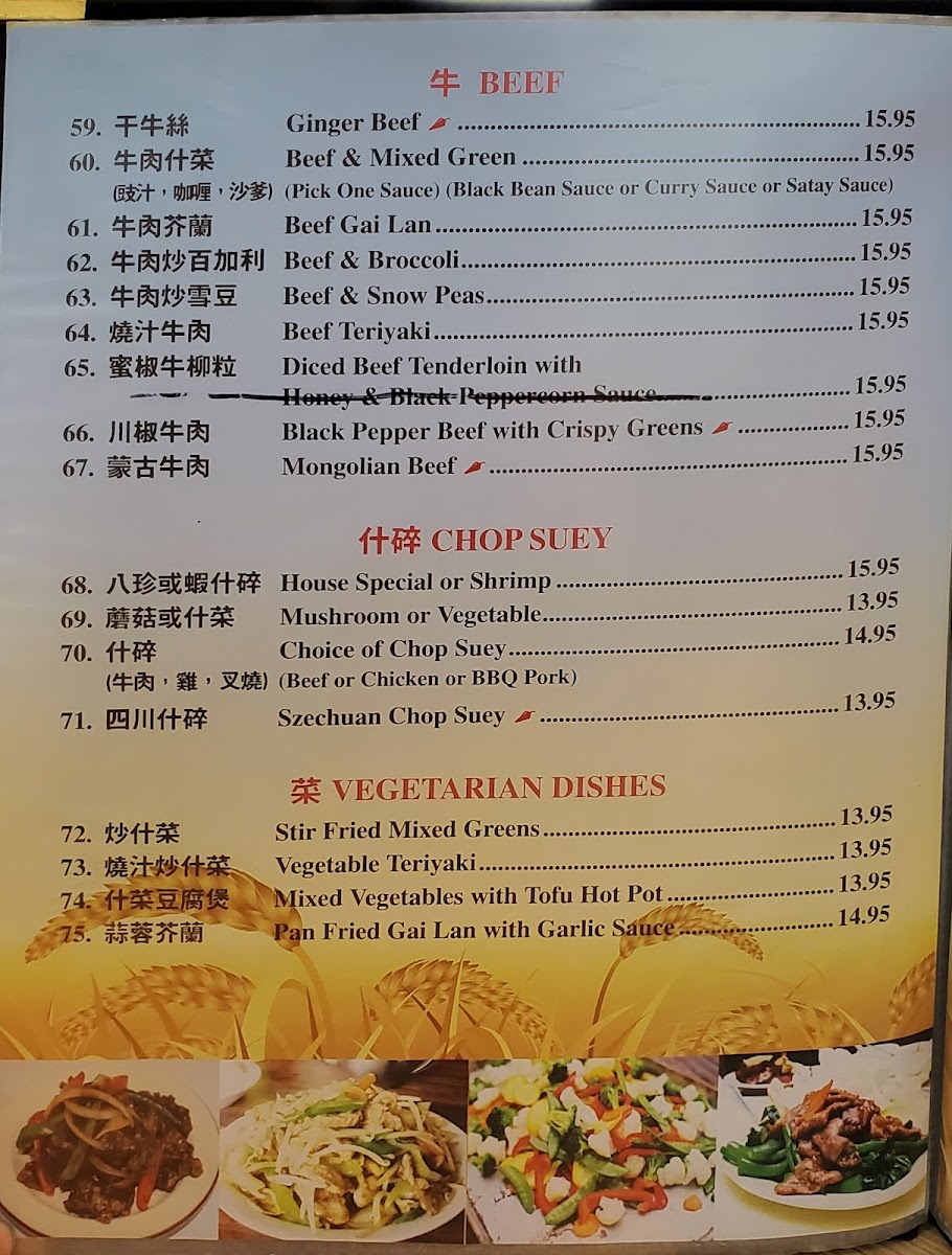 Harvest Chinese Restaurant Photo Menu 1