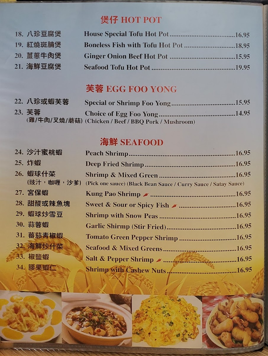 Harvest Chinese Restaurant Photo Menu 2