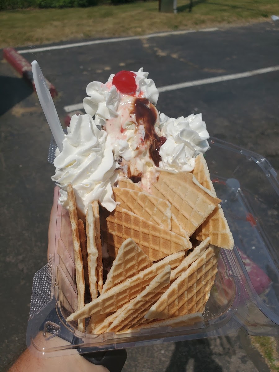 Custard Corner Photo 10
