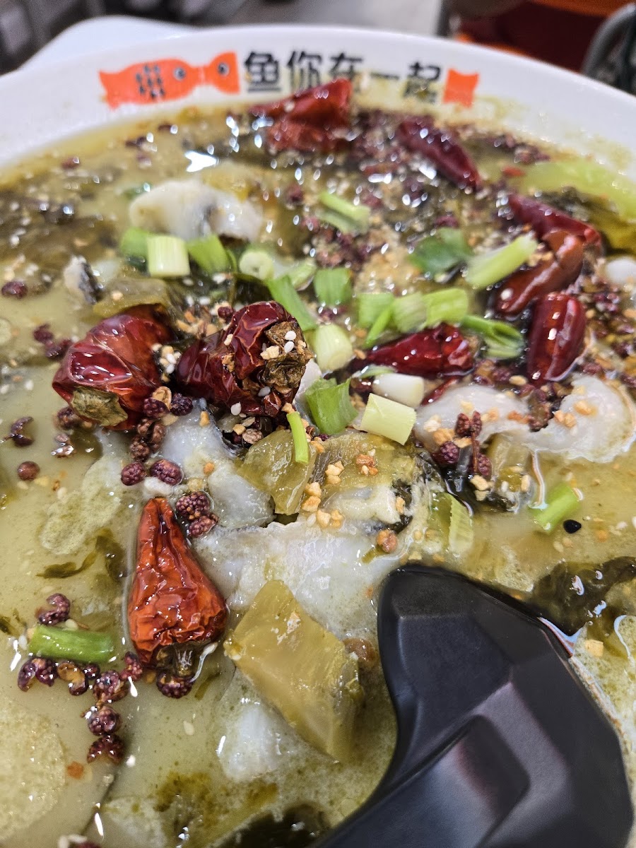 Fish With You 鱼你在一起下饭酸菜鱼 Photo 6