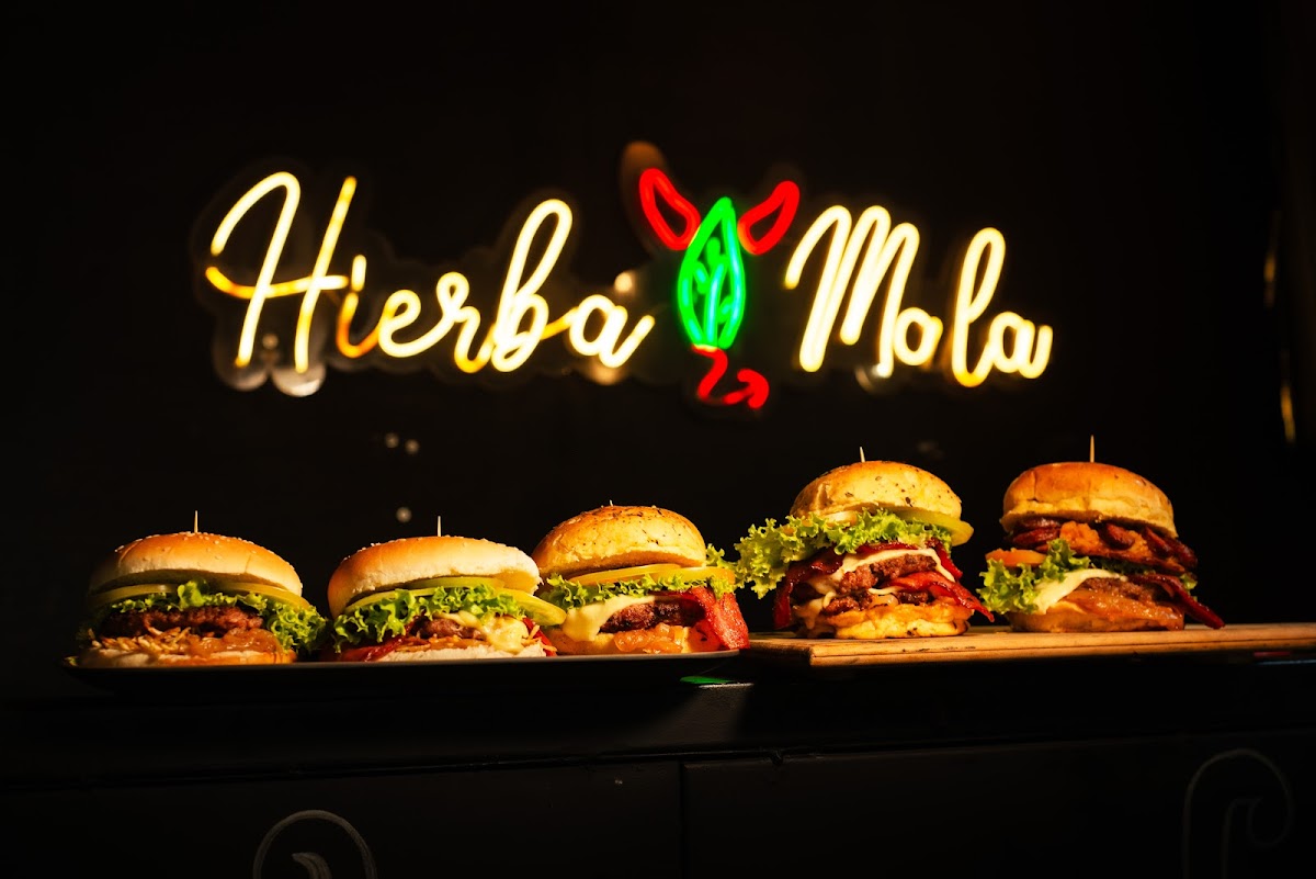 Hierba Mala Gastrobar Photo 4