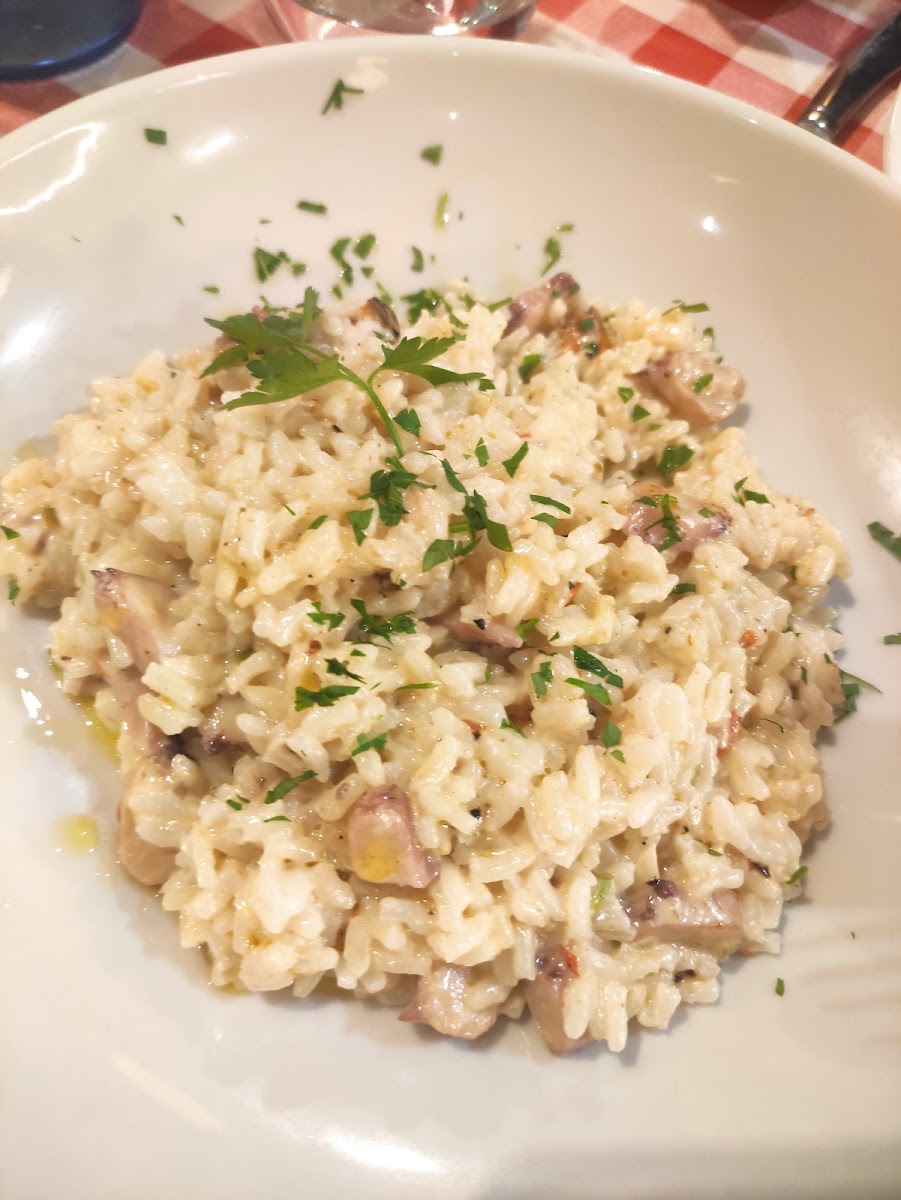 Trattoria Topolino Photo 9