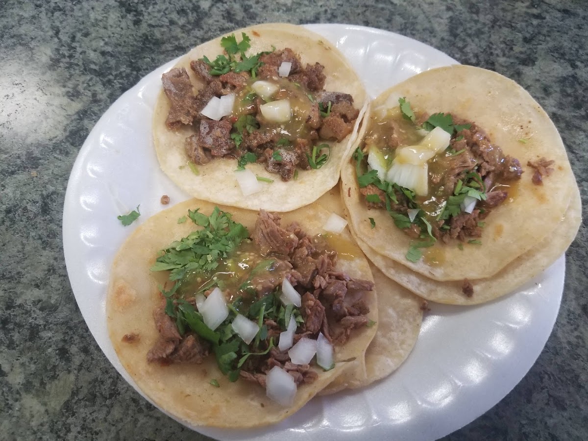 Ay Chihuahua Photo 2