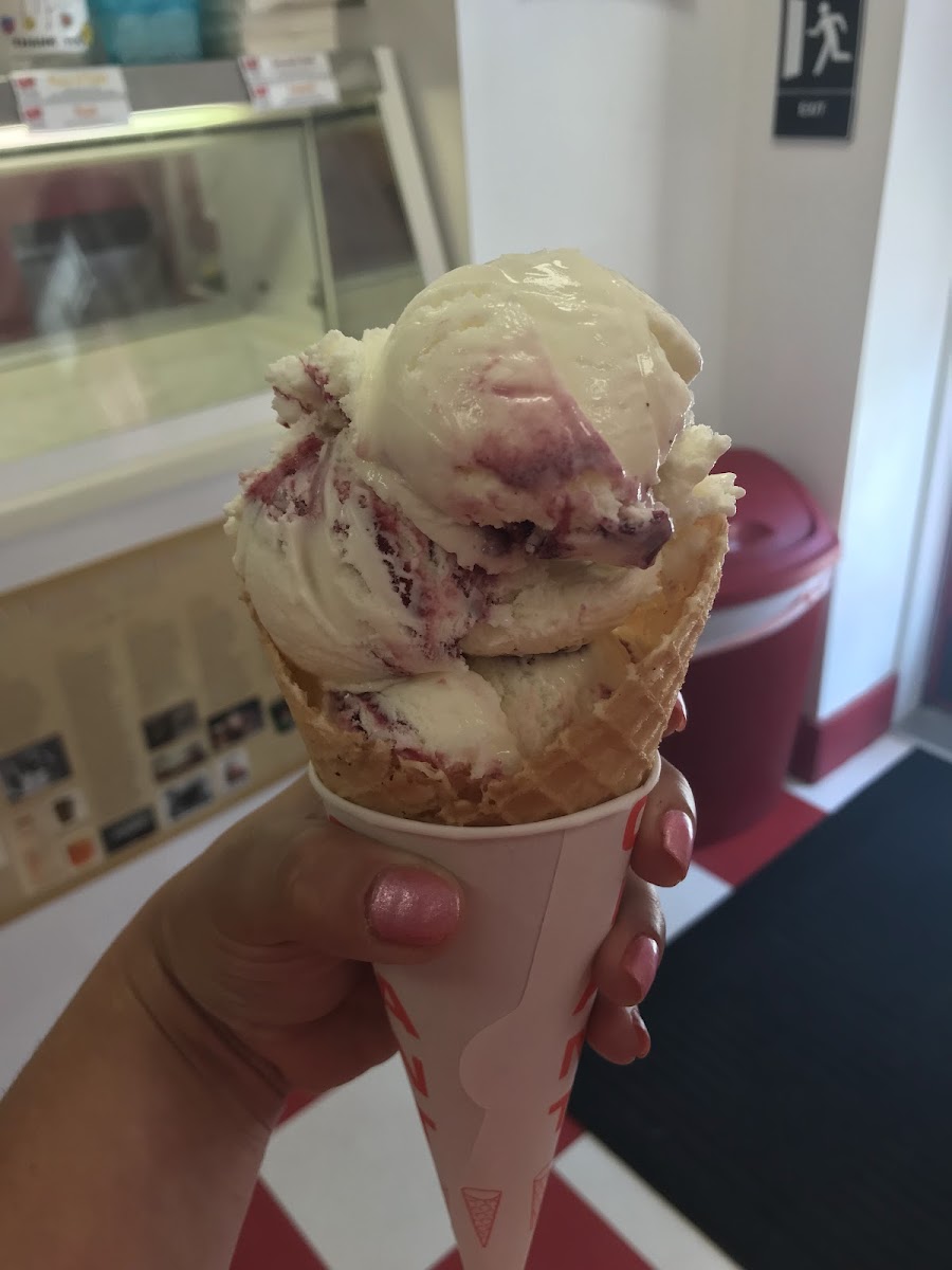 A Scoop Back in Time Photo 10