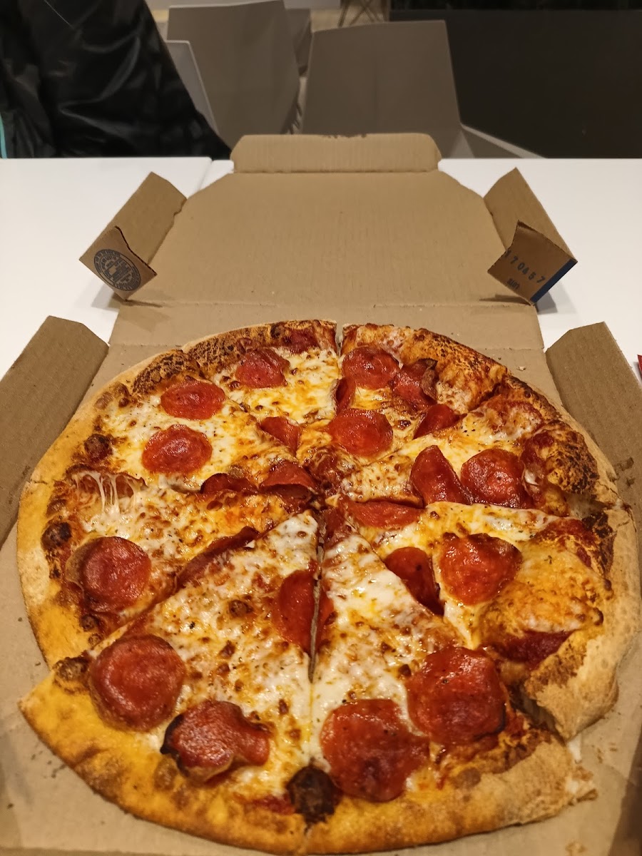 Domino's Satélite Photo 9