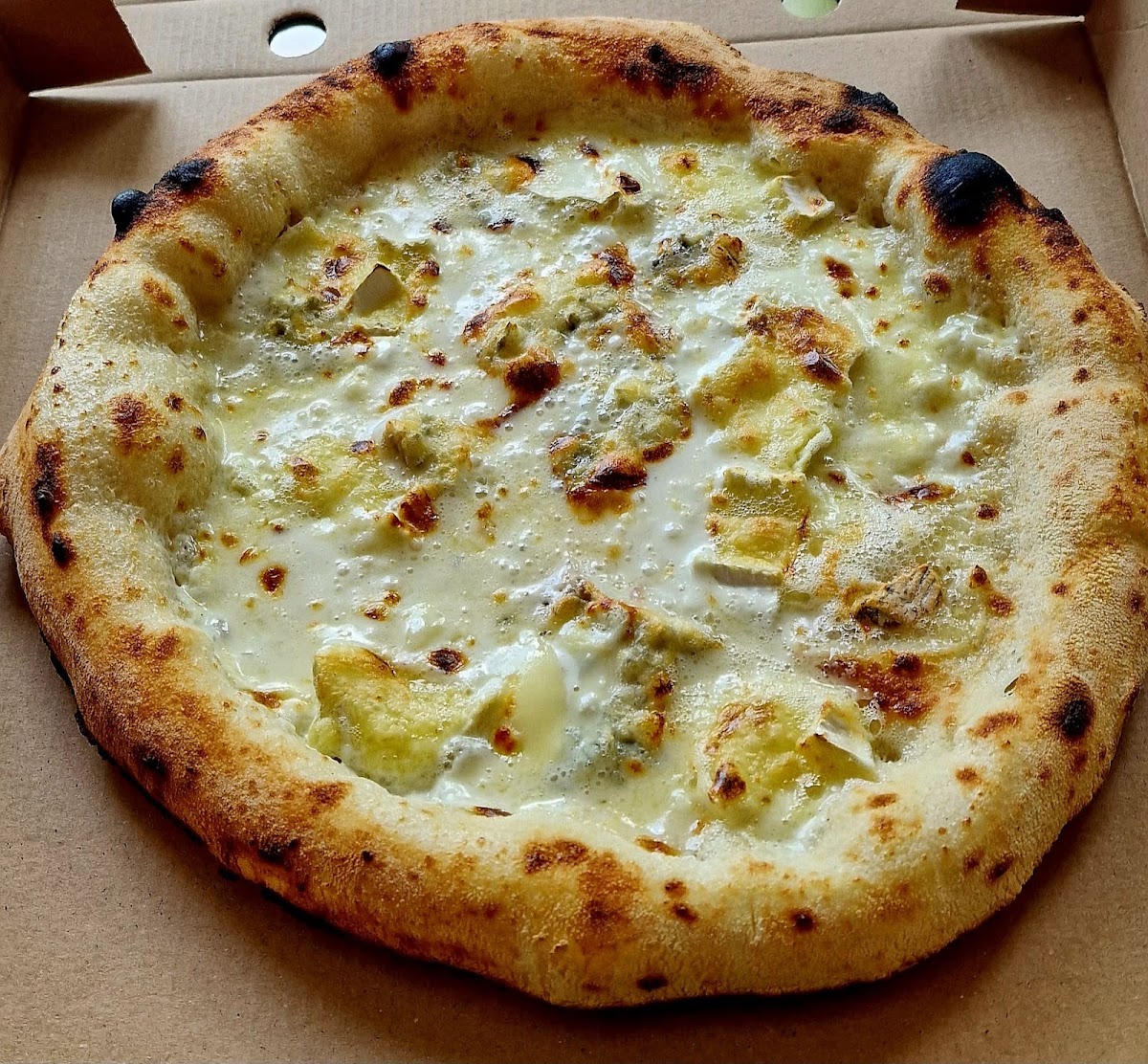 Pizzeria Spic Photo 7