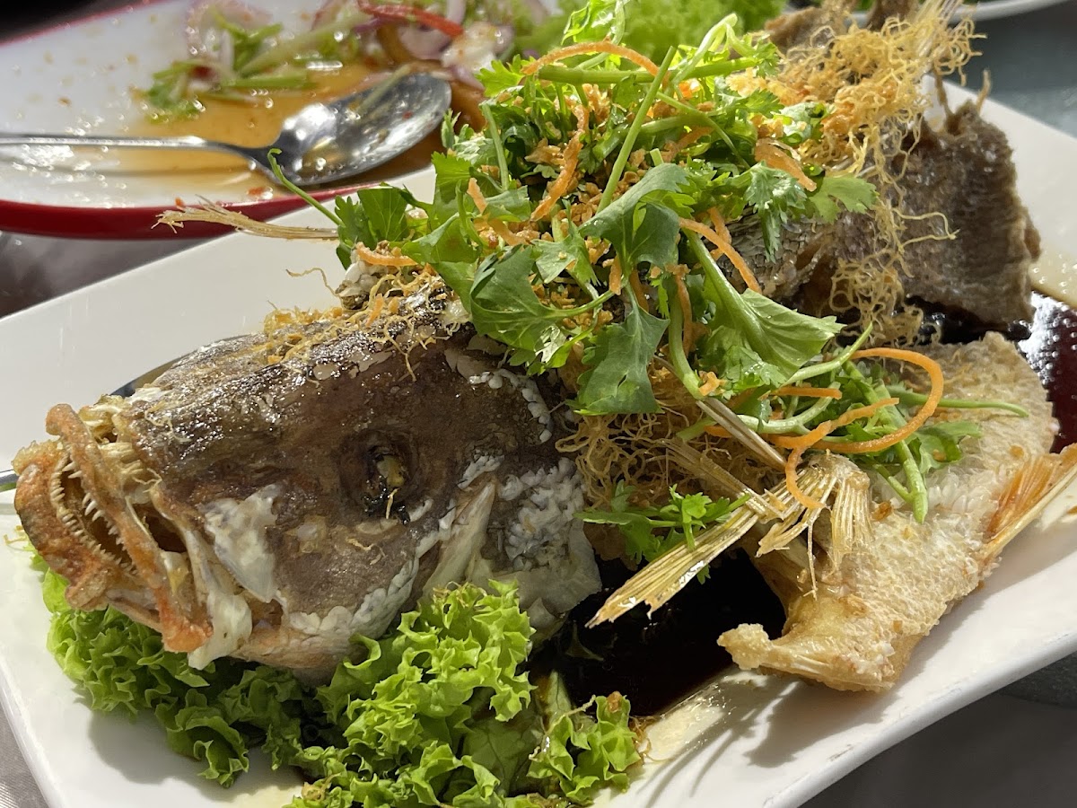 LS X Park Restaurant Photo 4