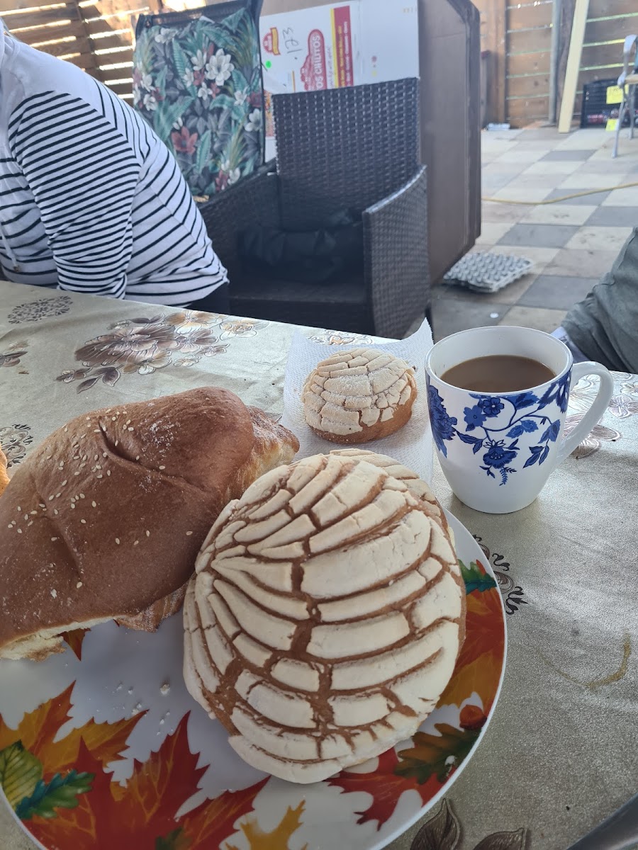 La Casa Del Pan Bakery & Restaurant Photo 8