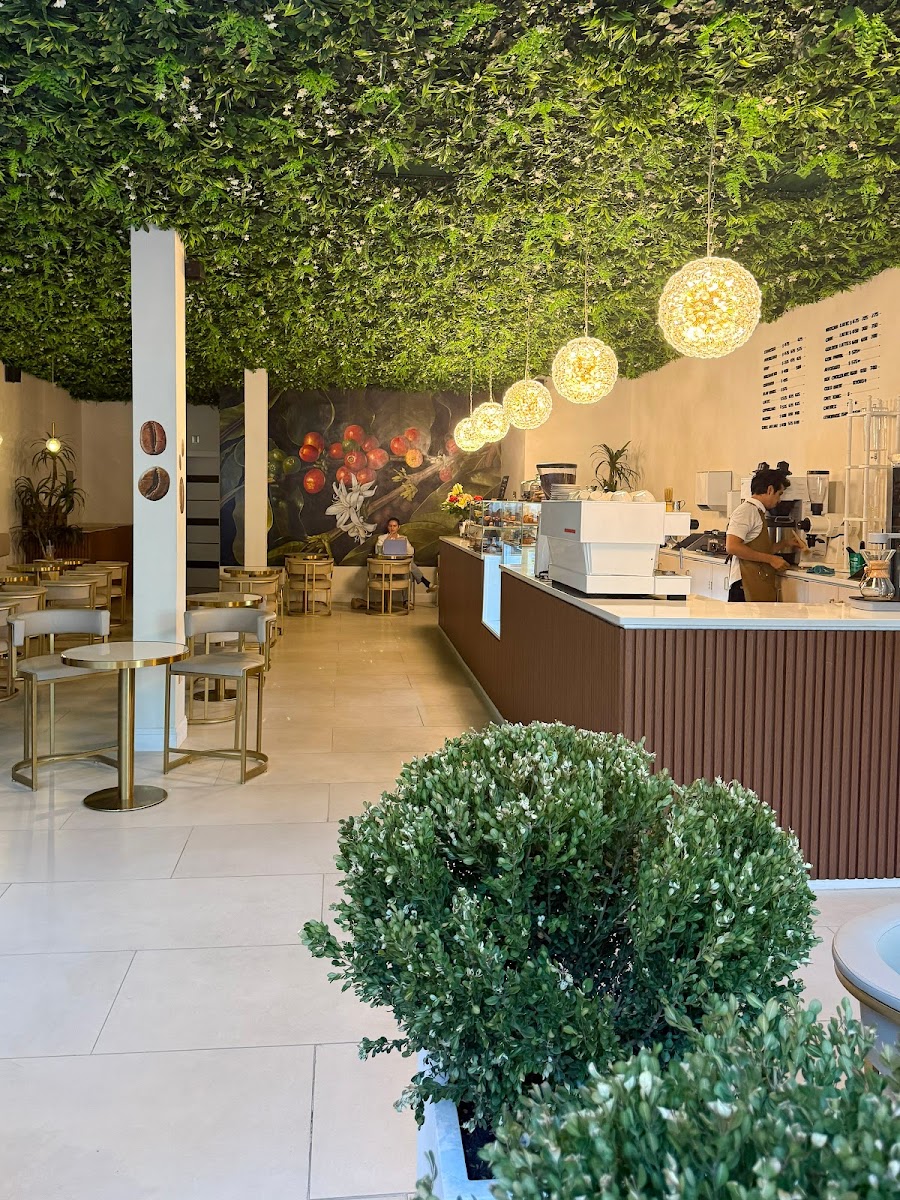 Carpe Diem Cafe Photo 10