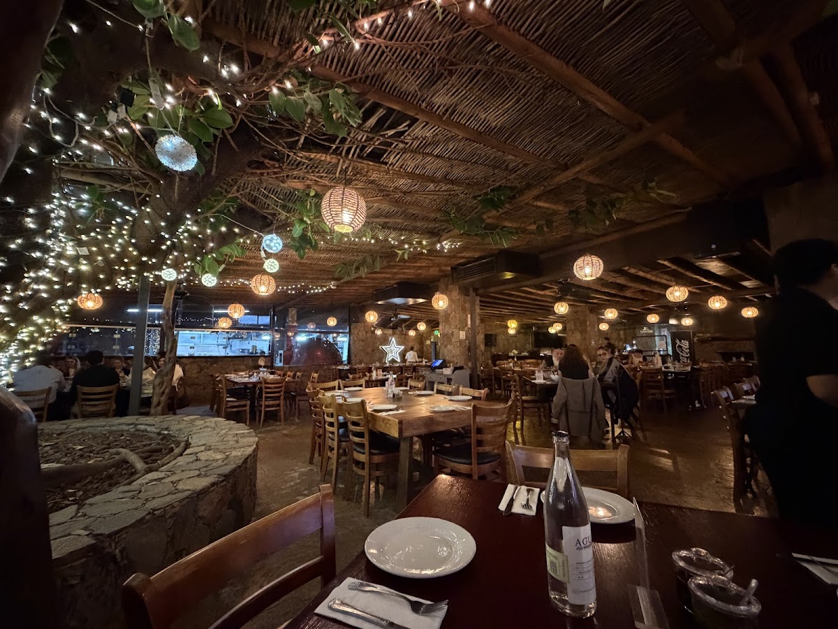 Stella, Cucina Al Forno