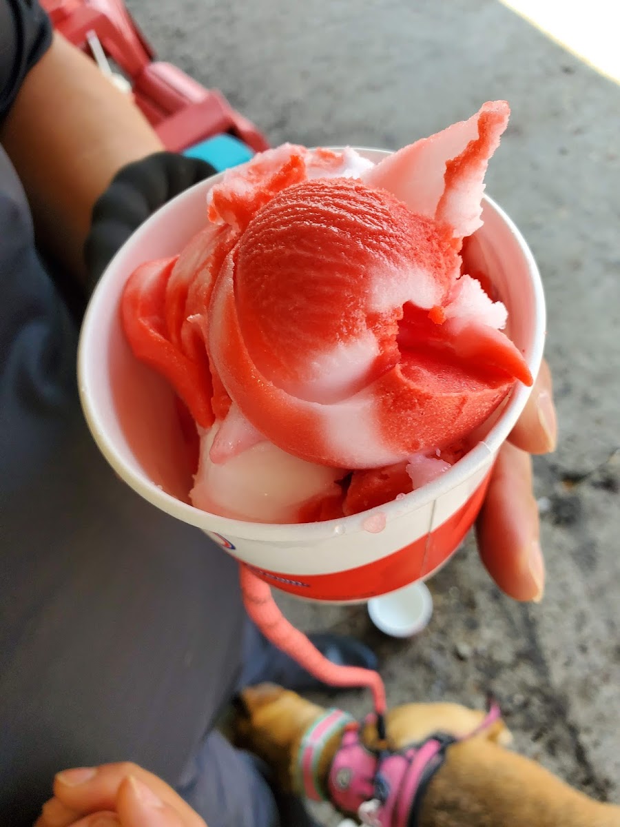 Roc City Ice Cream Photo 4