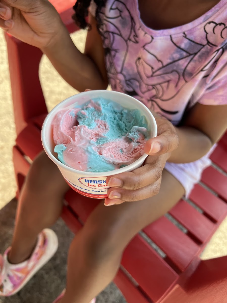 Roc City Ice Cream Photo 9