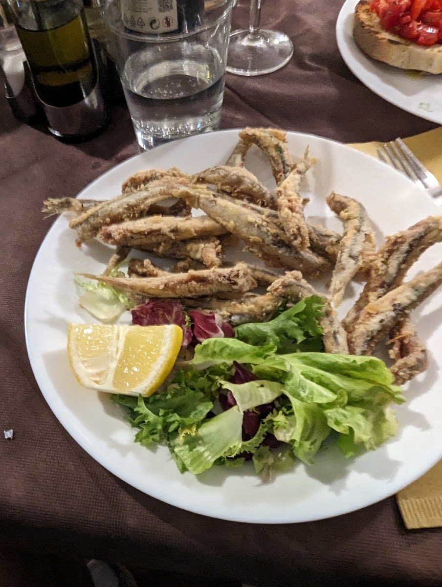 Ristorante 'A Canzuncella by night NAPOLI NOTTE Photo 5