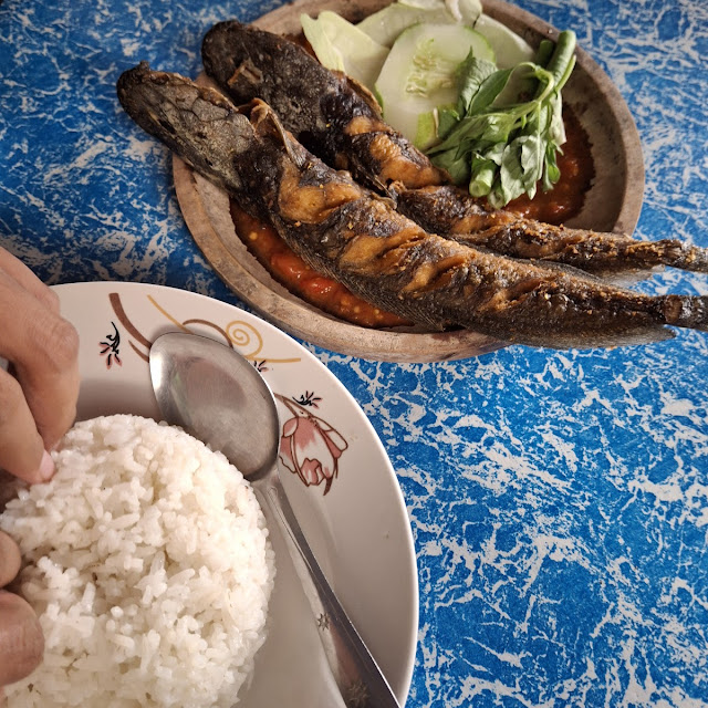 Lele Goreng