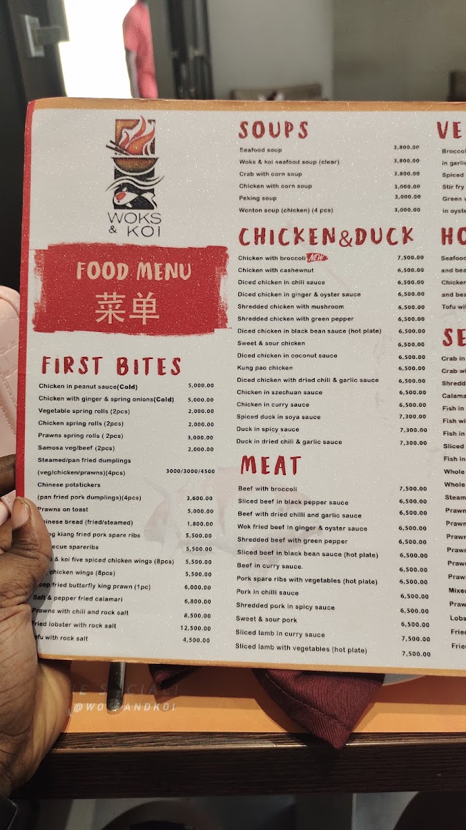 Woks and Koi Restaurant Photo Menu 5