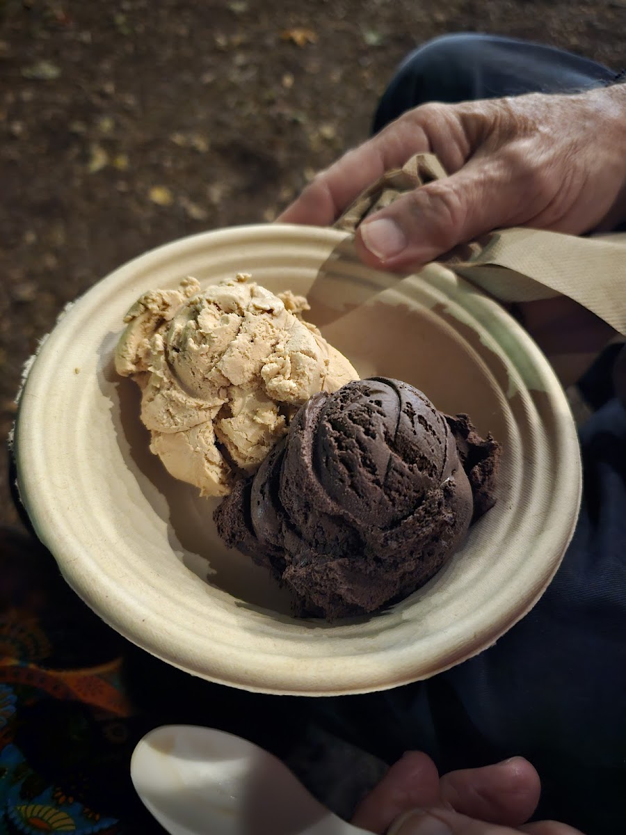 The Mad Dipper - Handcrafted Artisan Ice Cream! Photo 4