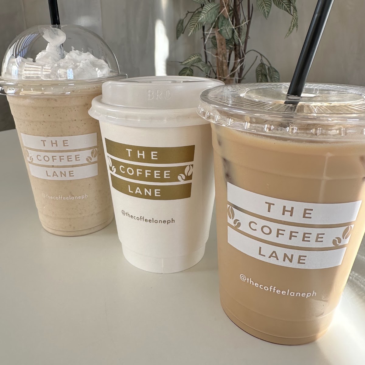 The Coffee Lane Photo 9