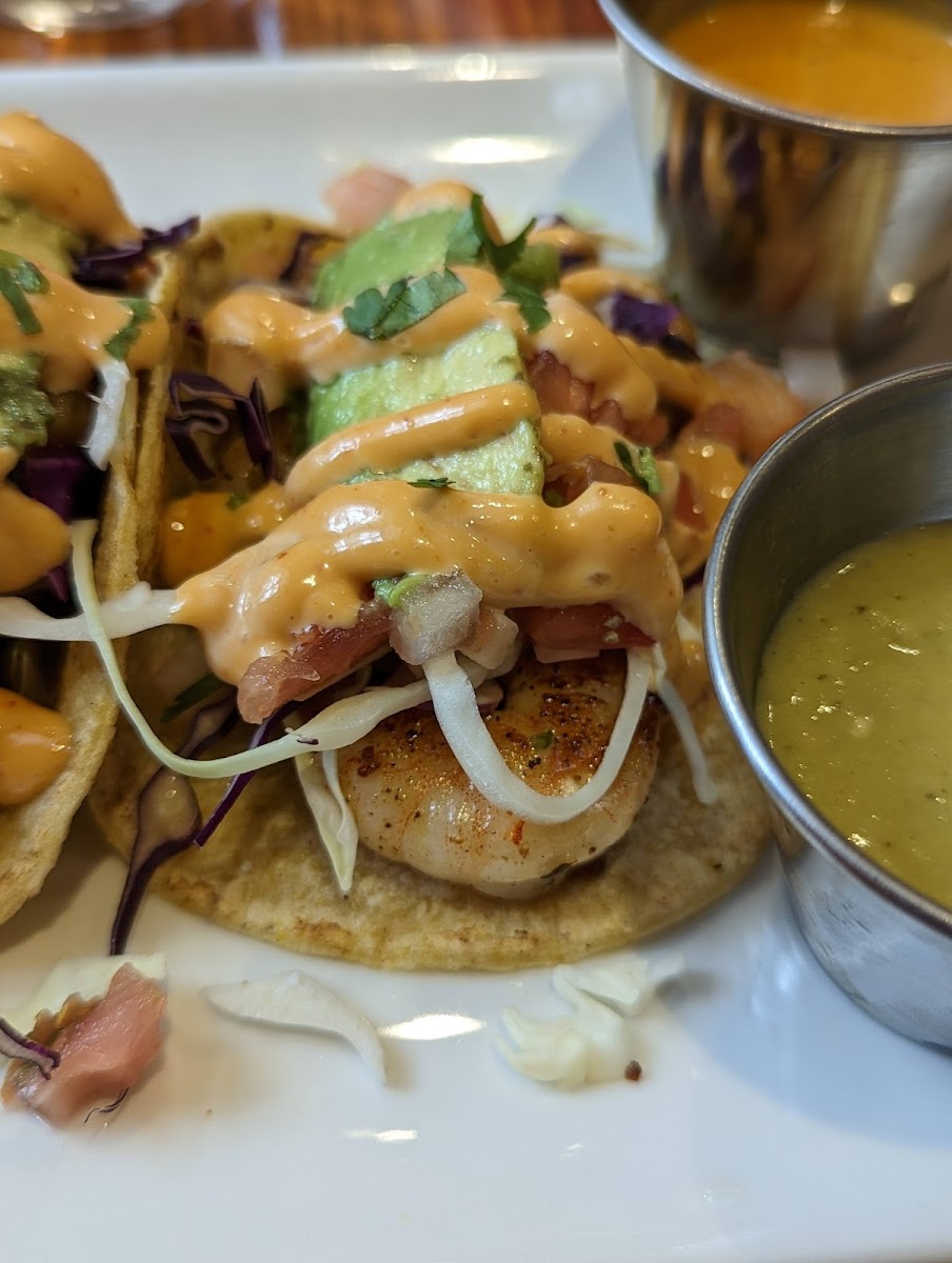 Picante Annapolis Photo 9