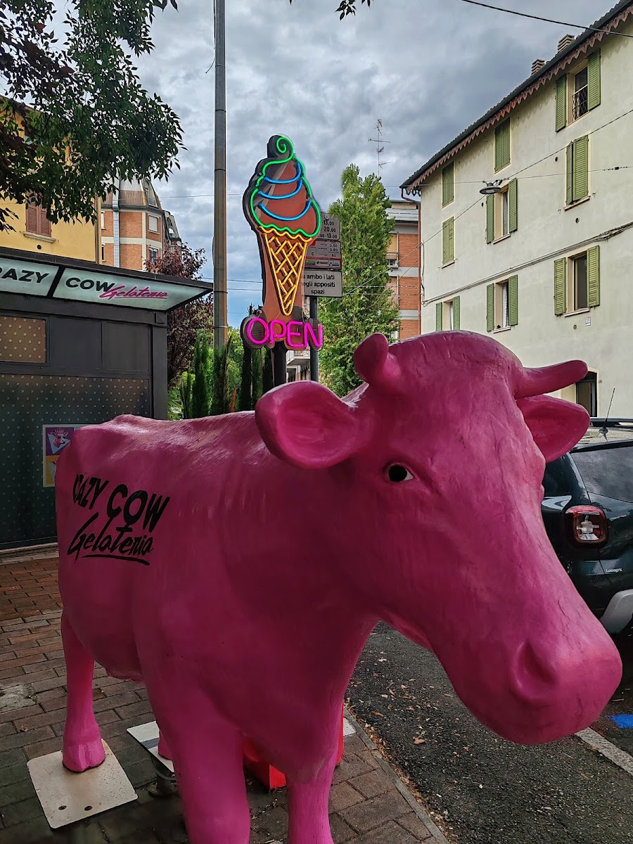 Crazy Cow Gelateria Photo 3