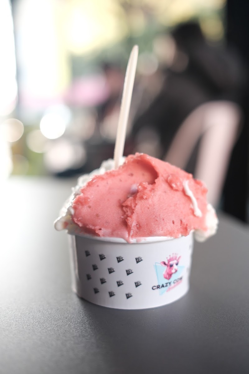 Crazy Cow Gelateria Photo 5