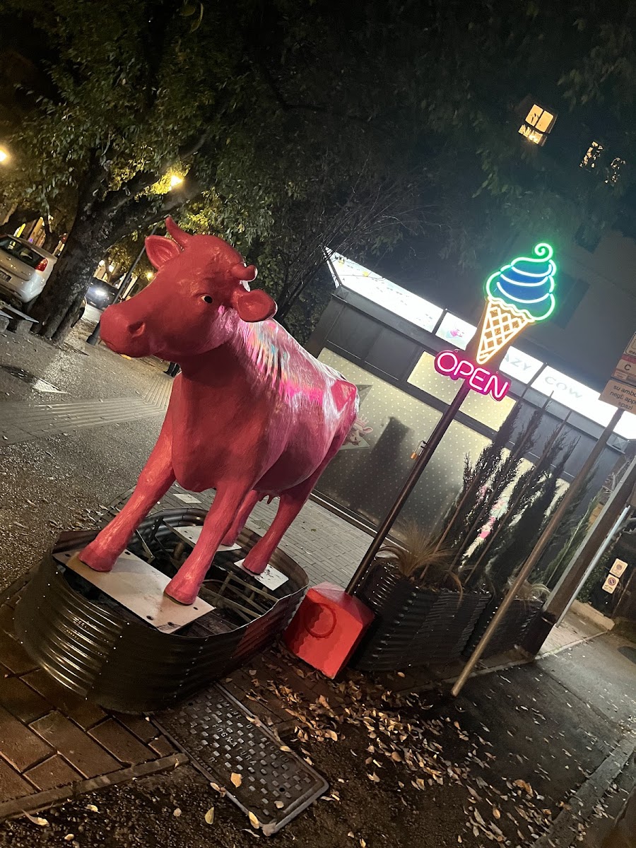 Crazy Cow Gelateria Photo 7
