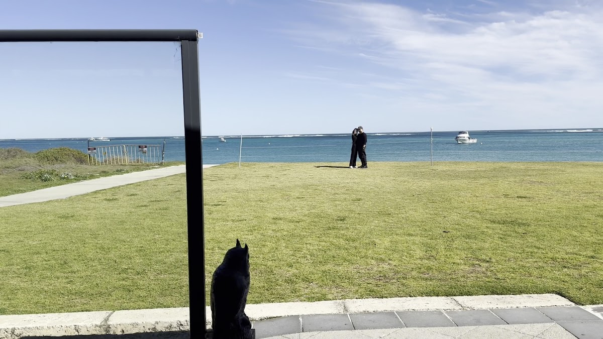 The 3 Emus Restaurant Photo 2