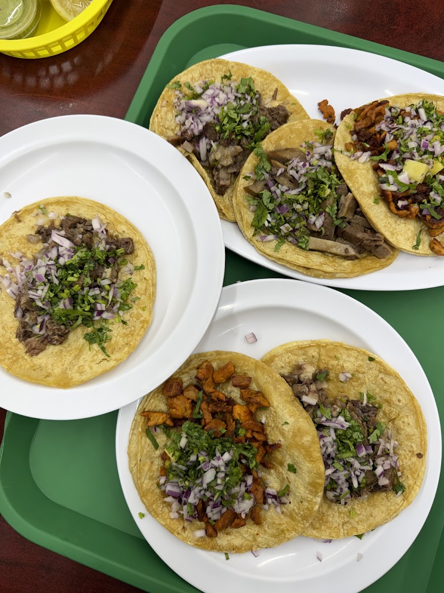 El Bigotaco’s Taqueria Photo 4