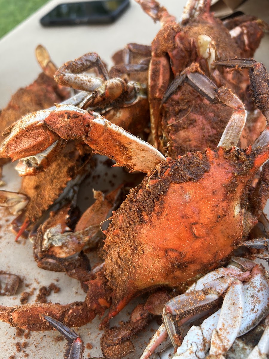 Mr. Ed's Crabs