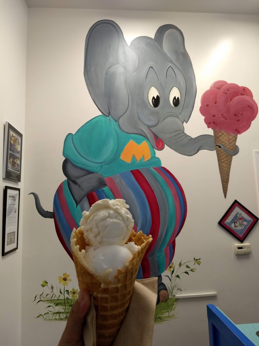 Munnerlyn's Ice Creamery Photo 4