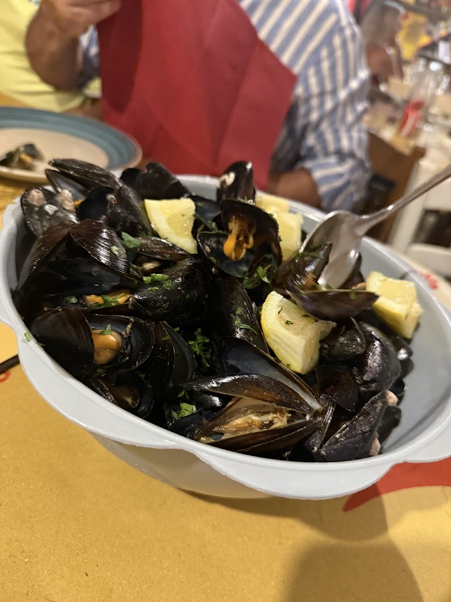 Melafumo Livorno Photo 5