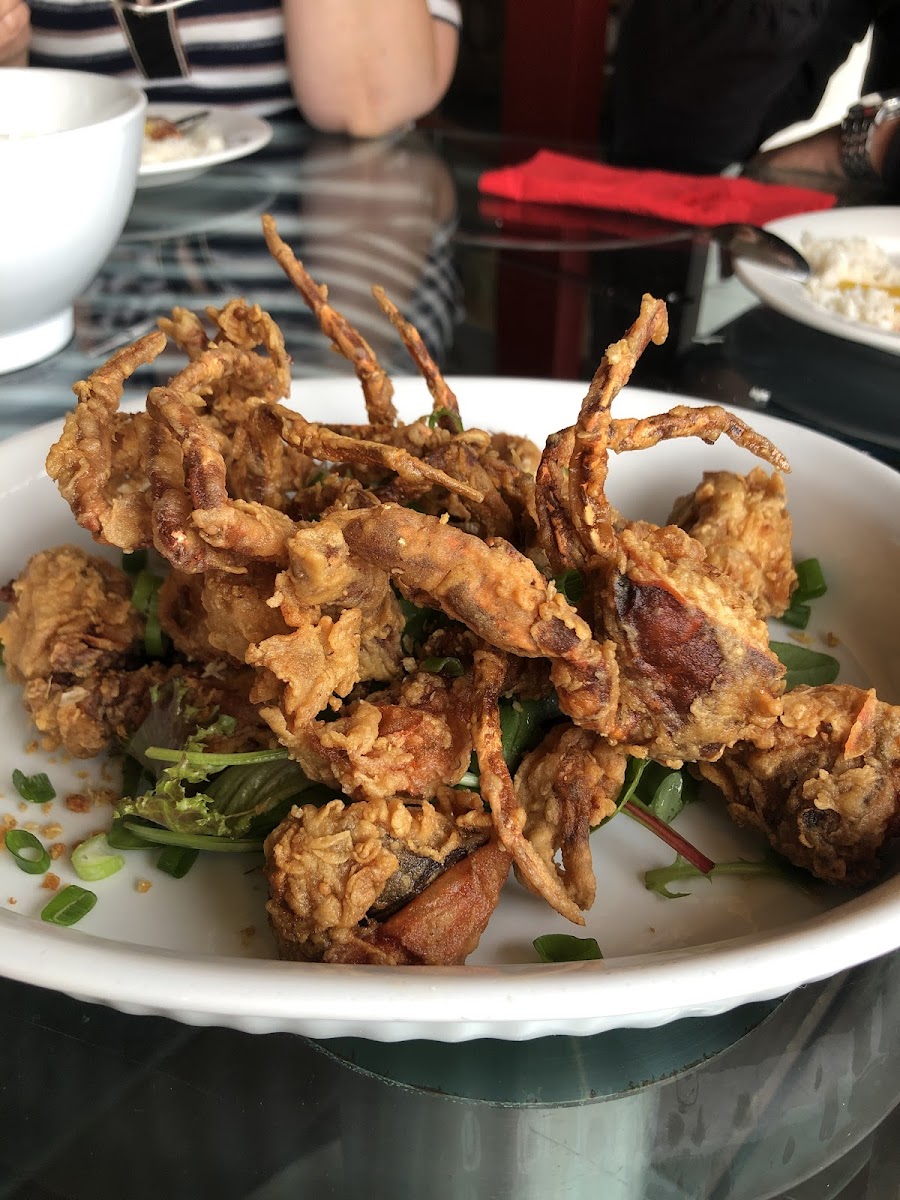 Spencer Thai Photo 5