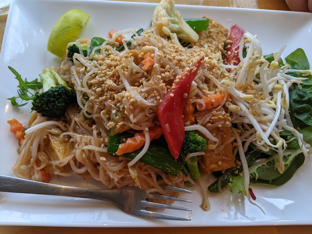 Spencer Thai Photo 6