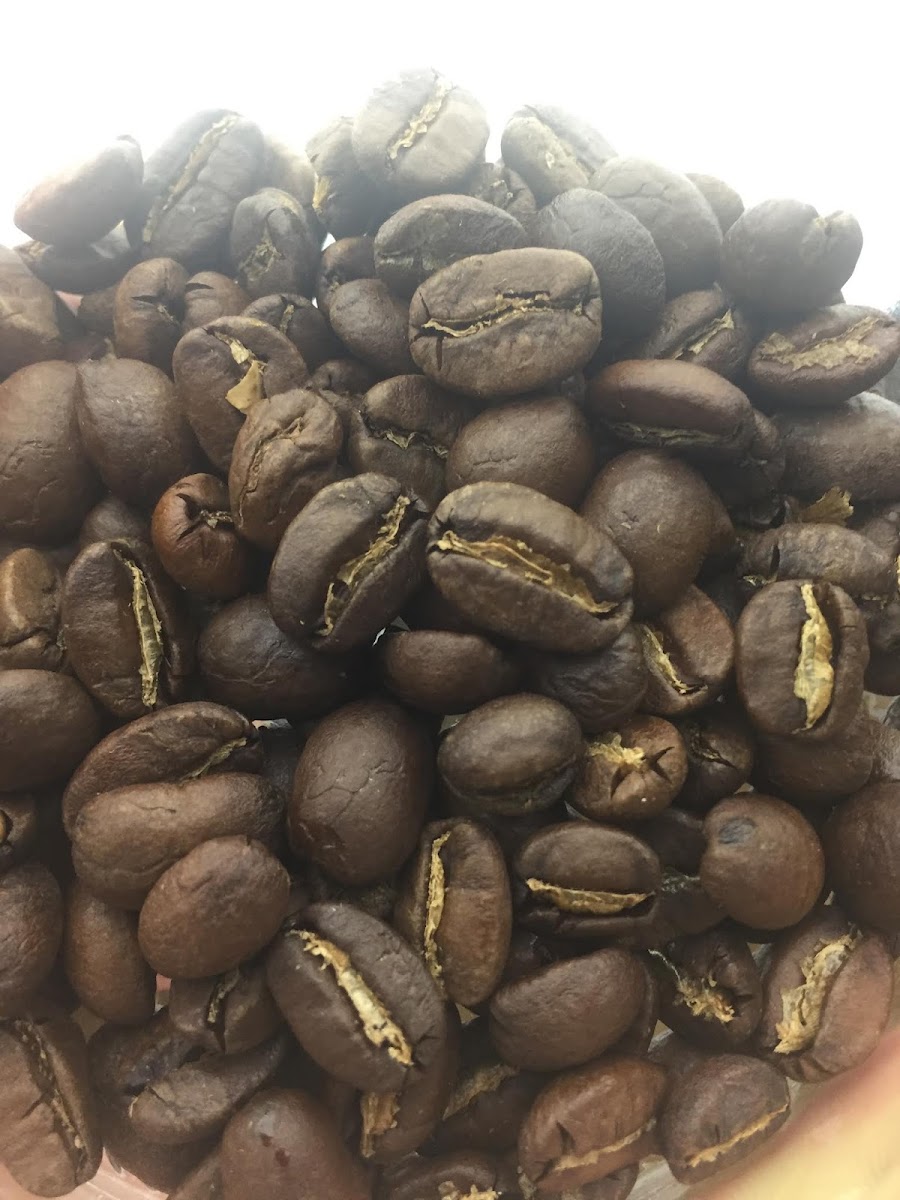 Caffe Ricco Manufaktur Photo 5