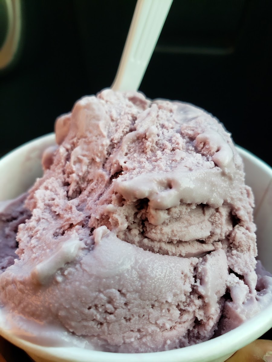 Kennedy’s Ice Cream Bar Photo 5