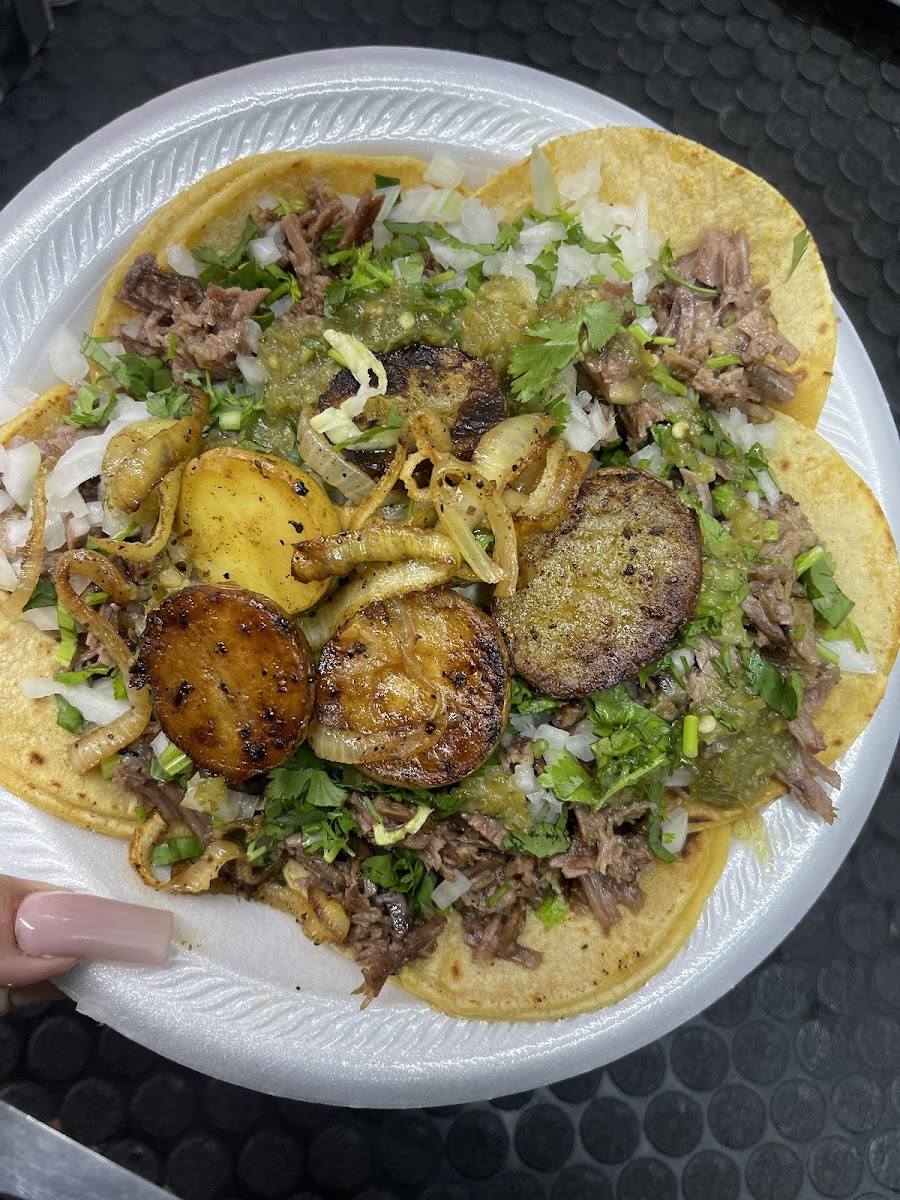 Tacolicious food truck