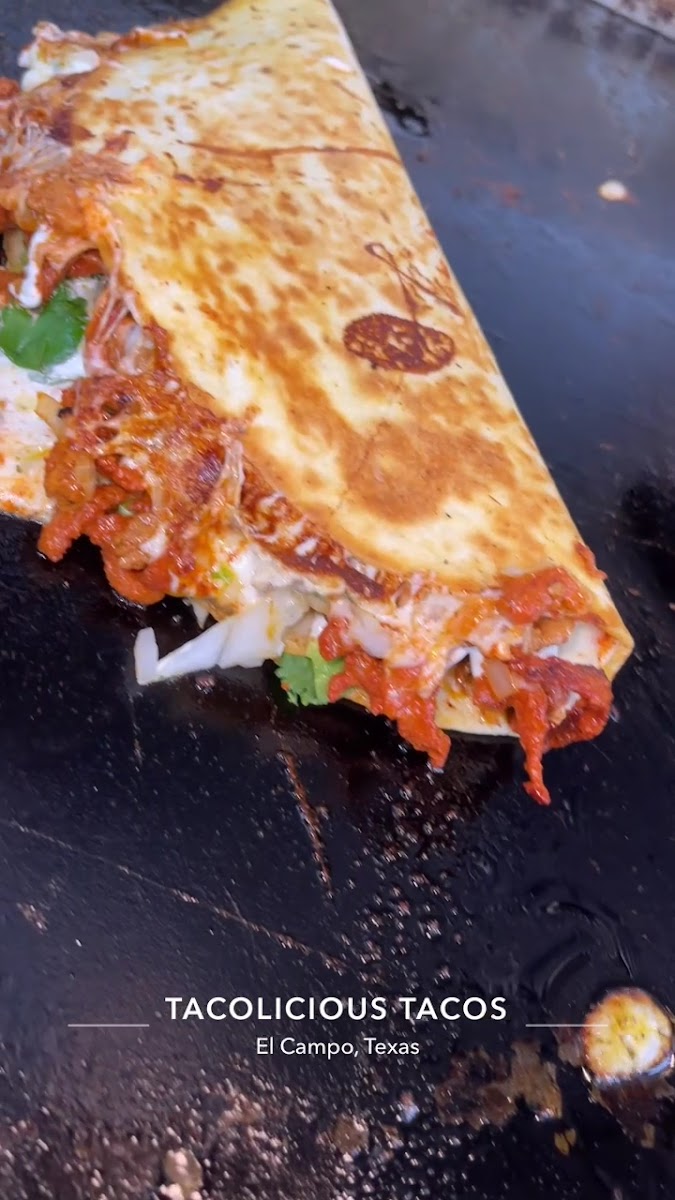 Tacolicious food truck Photo 2