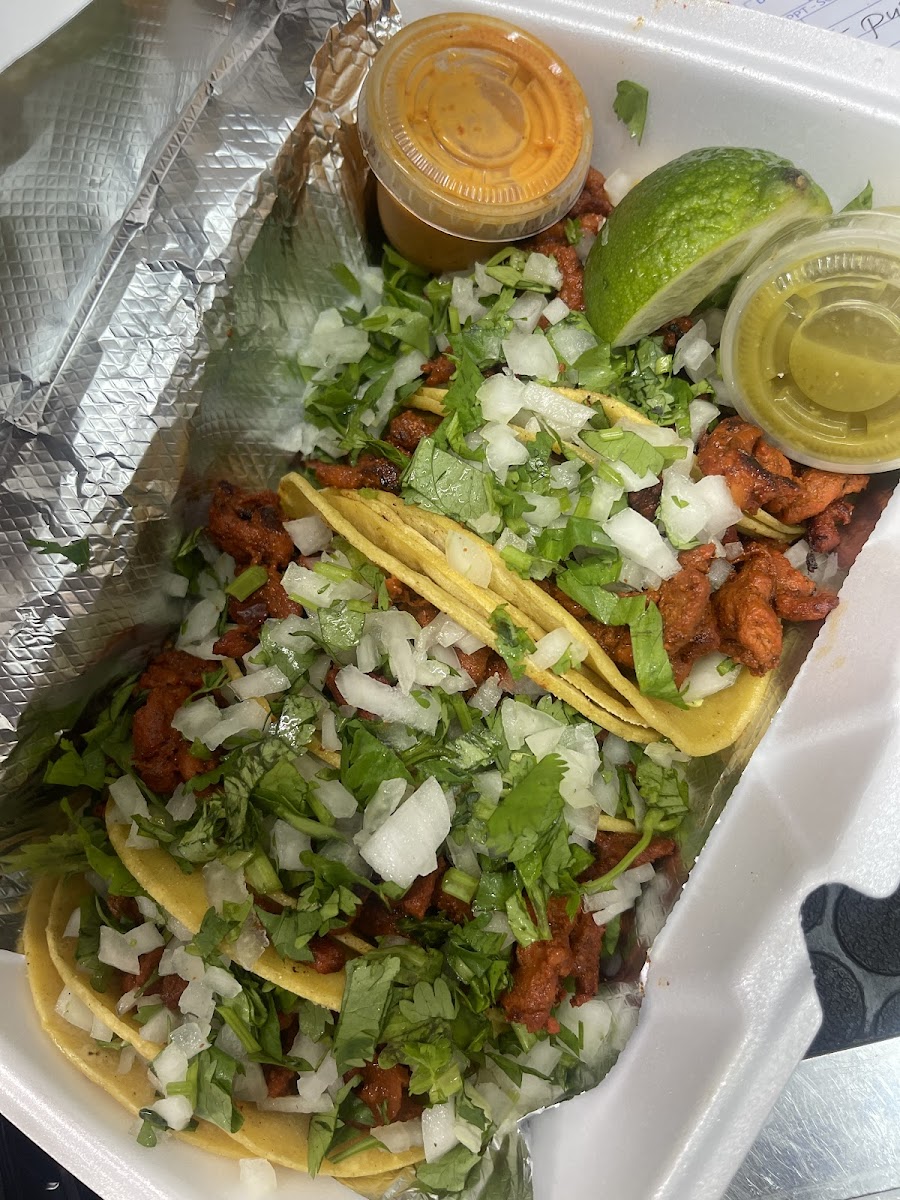 Tacolicious food truck Photo 3